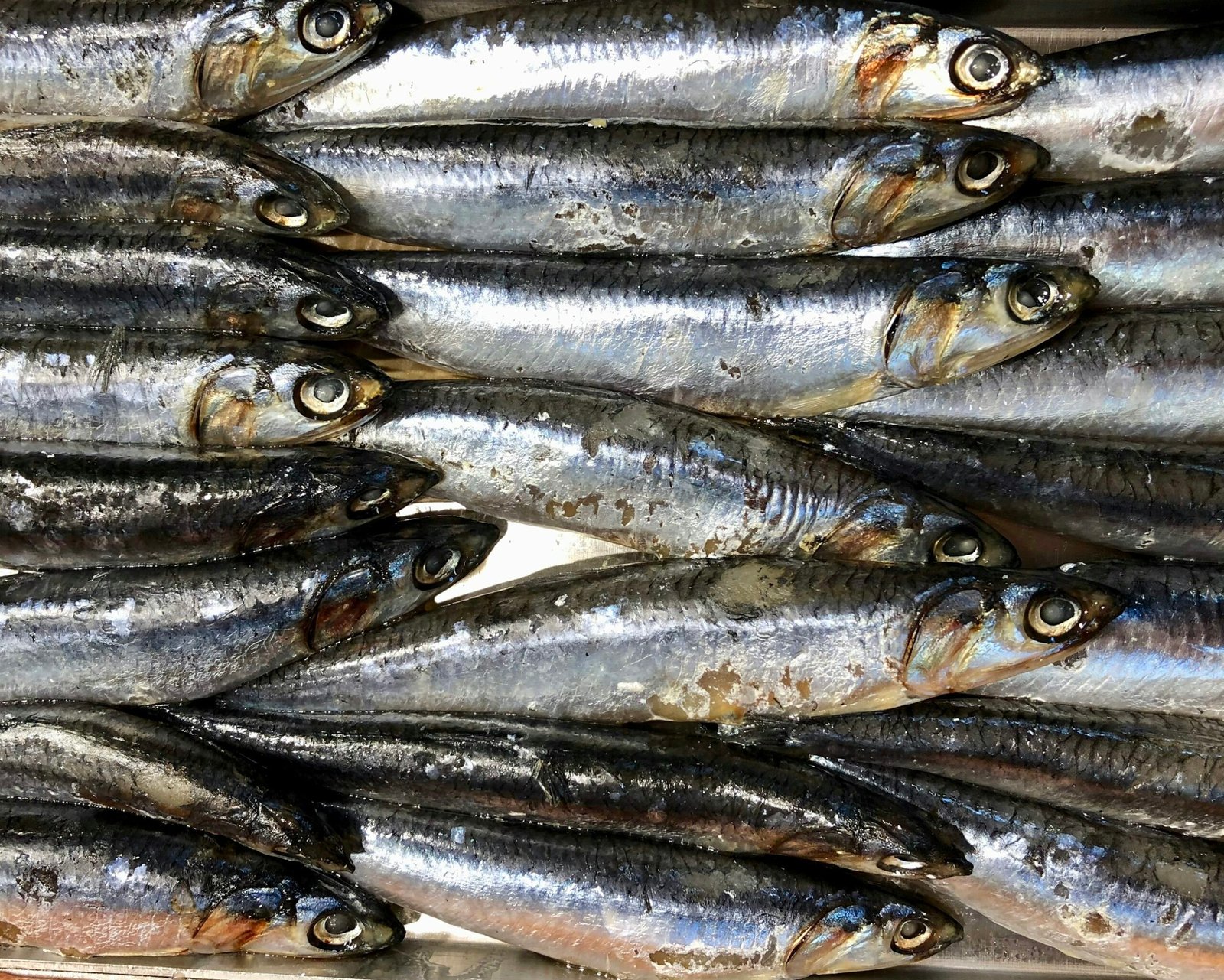 Home Anchovies