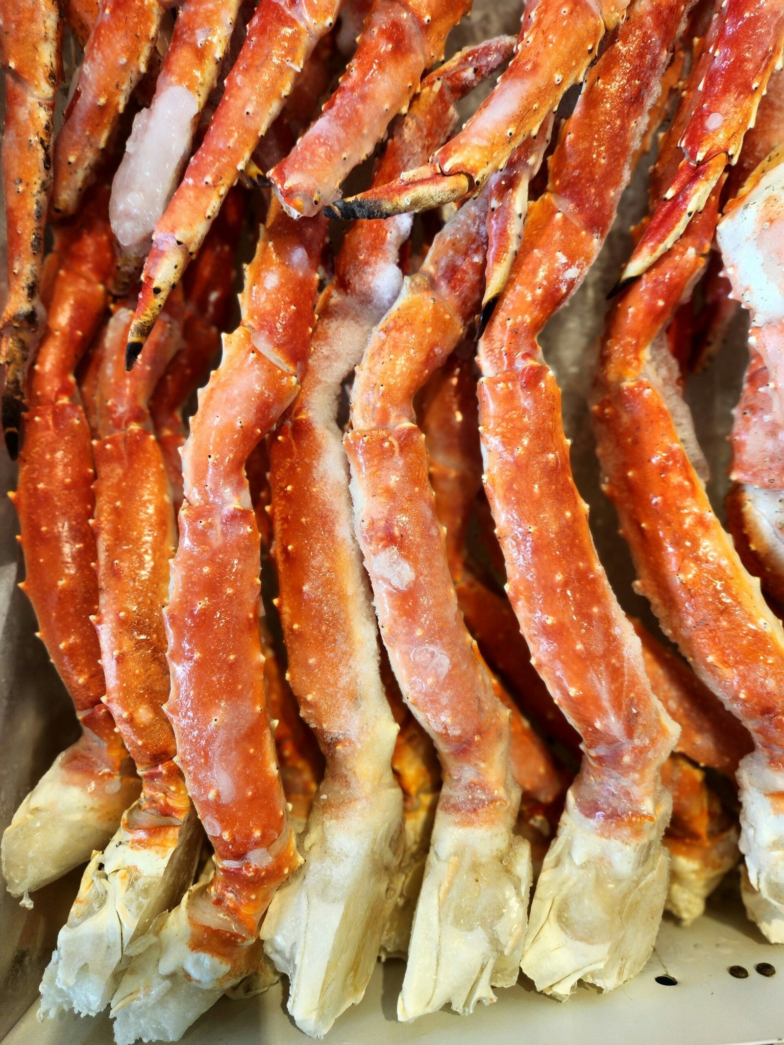 Home Crab
