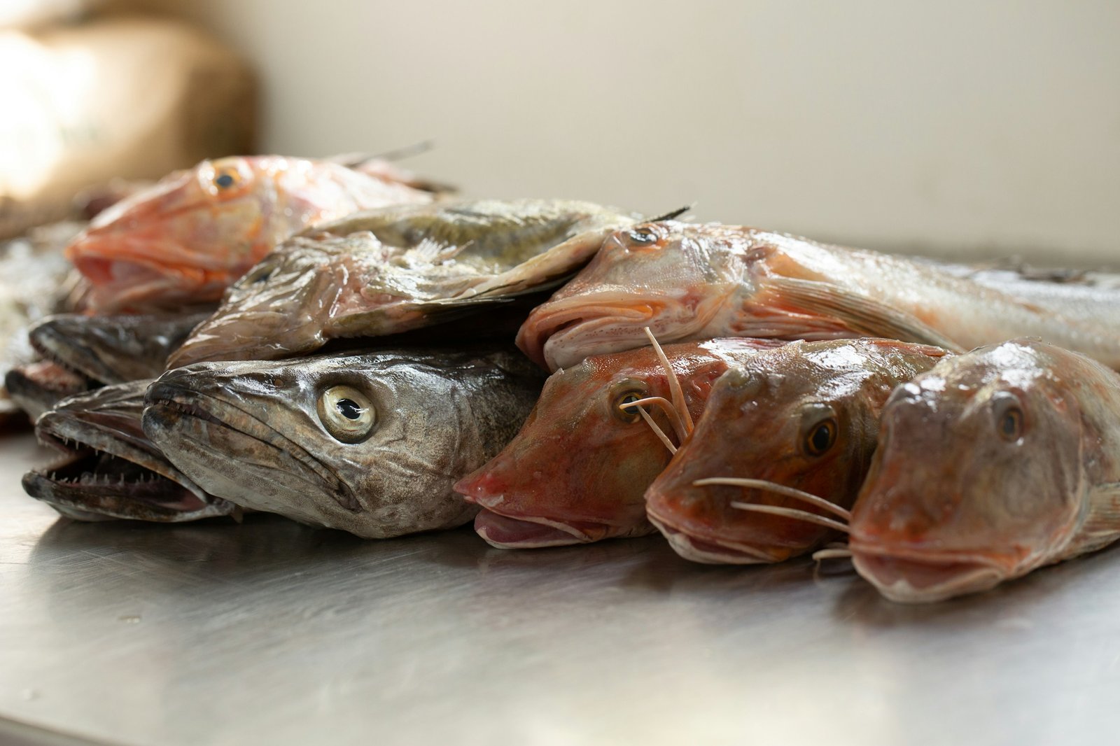 Home Hake