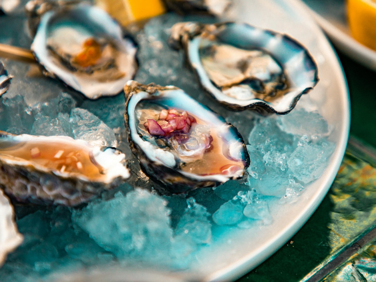 Home Oysters