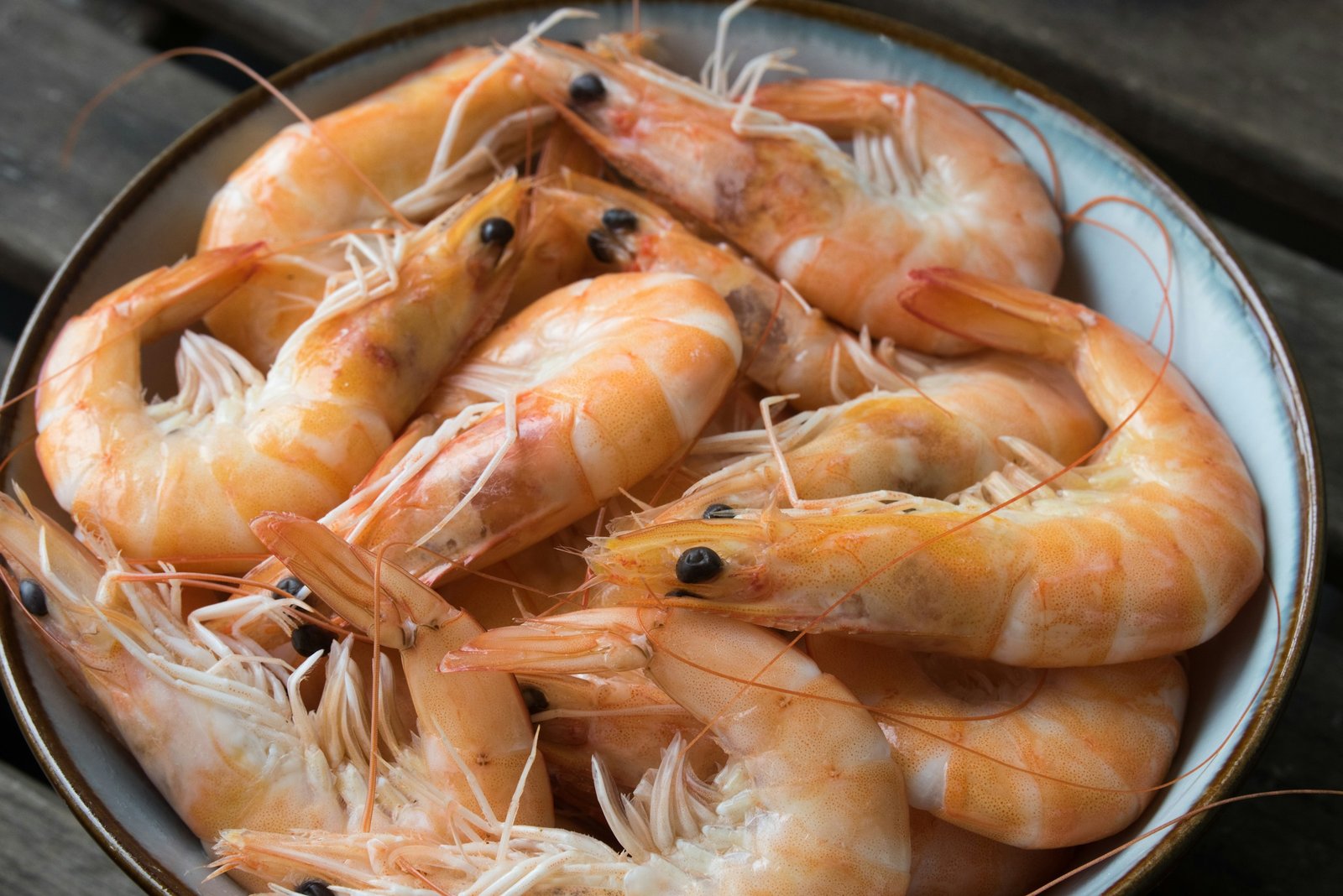 Home Pink Shrimp