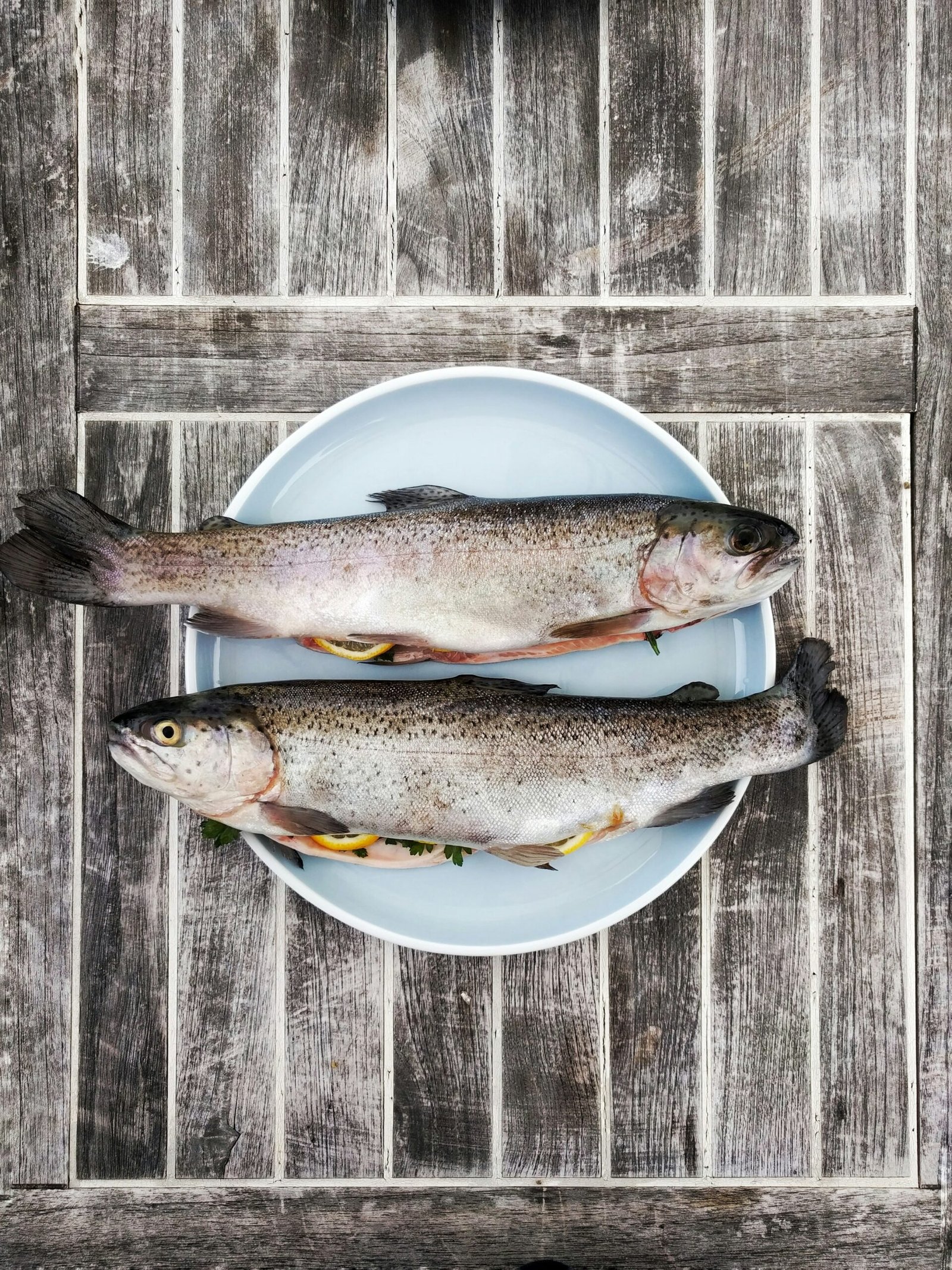 Home Rainbow Trout